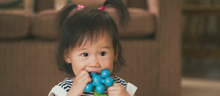 Small child playing with a toy