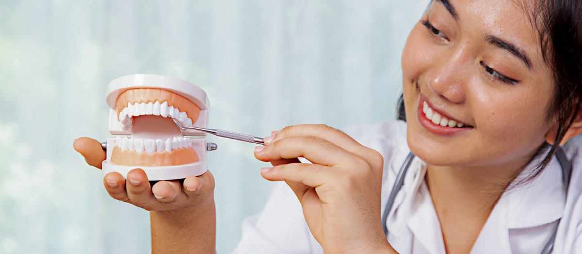 Dentist showing treatment options in set of false teeth